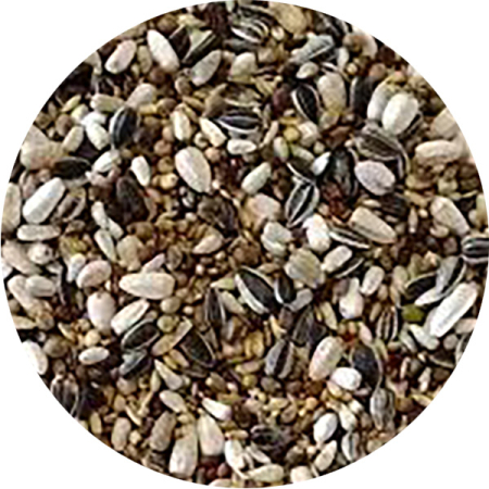 Seminte si hrana pentru pasari-Hrana pentru canari si pasari exotice - Amestec de seminte germinabile Ornitalia  pentru Papagali 3,5kg