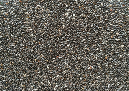Seminte chia Manitoba 1 kg [1]