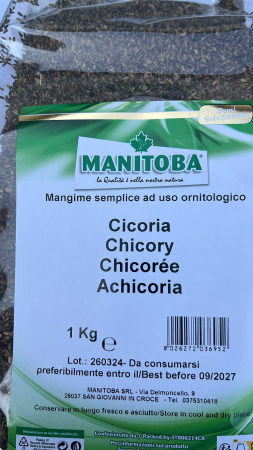 Seminte - Amestecuri de seminte - Seminte cicoare Manitoba 1 kg