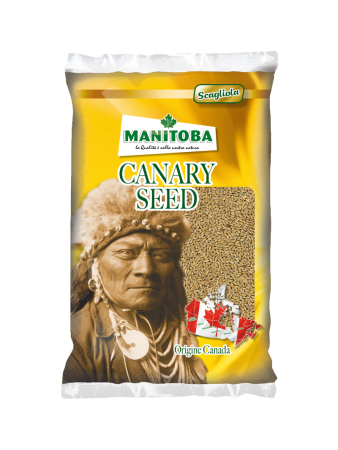 Semințe de canar Manitoba Scagliola Canary Seed 5 kg