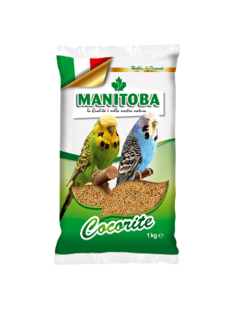 Seminte - Amestecuri de seminte - Semințe Manitoba Cocorite Biscuit 1kg pentru peruși