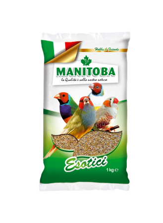 Seminte - Amestecuri de seminte - Semințe Manitoba Esotici 1kg pentru păsări exotice
