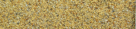 Semințe Manitoba Esotici 1kg pentru păsări exotice [1]
