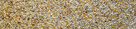 Semințe Manitoba Exotic Best Premium 1kg pentru păsări exotice [1]