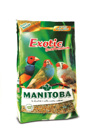 Seminte - Amestecuri de seminte - Semințe Manitoba Exotic Best Premium 1kg pentru păsări exotice