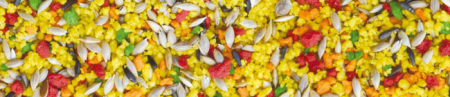 Seminte pentru canari Manitoba Canarini Gran Festa 500 g [1]