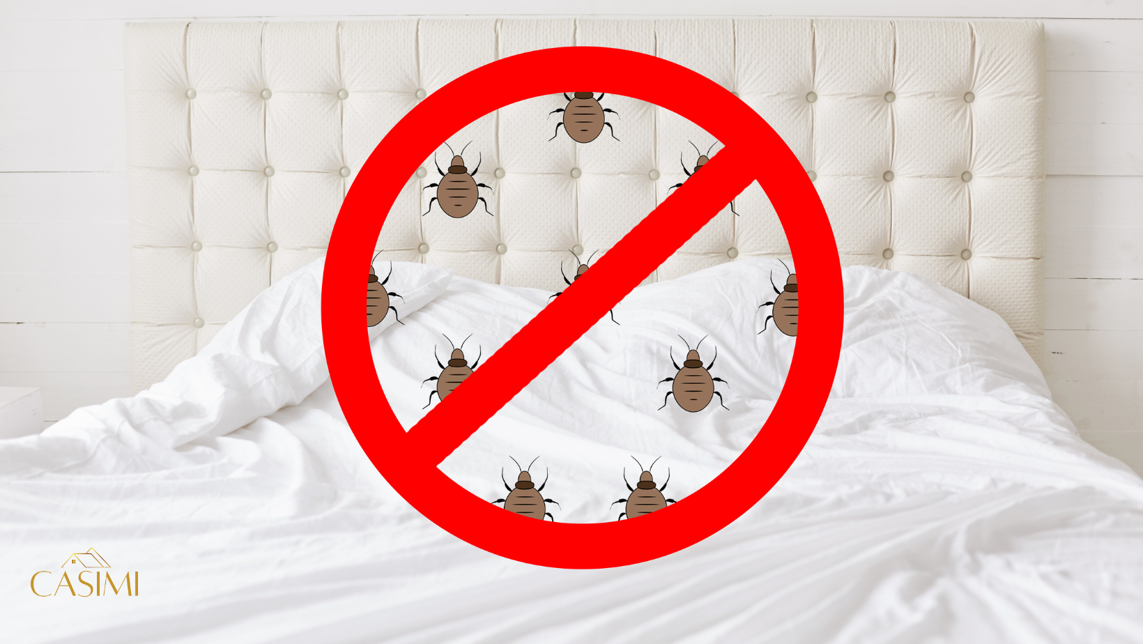 Infestarea cu plosnite : o problema mai raspandita decat credem. 🦠