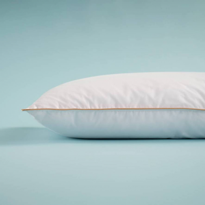 1_Perna-Othello-Downa-30%-Puf-70%-Pene-50x70cm-casimi-p1 [2]
