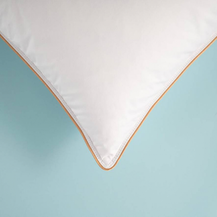 1_Perna-Othello-Downa-30%-Puf-70%-Pene-50x70cm-casimi-p1 [5]