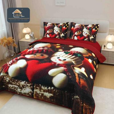 Cuvertura-craciun-5d-casimi [1]