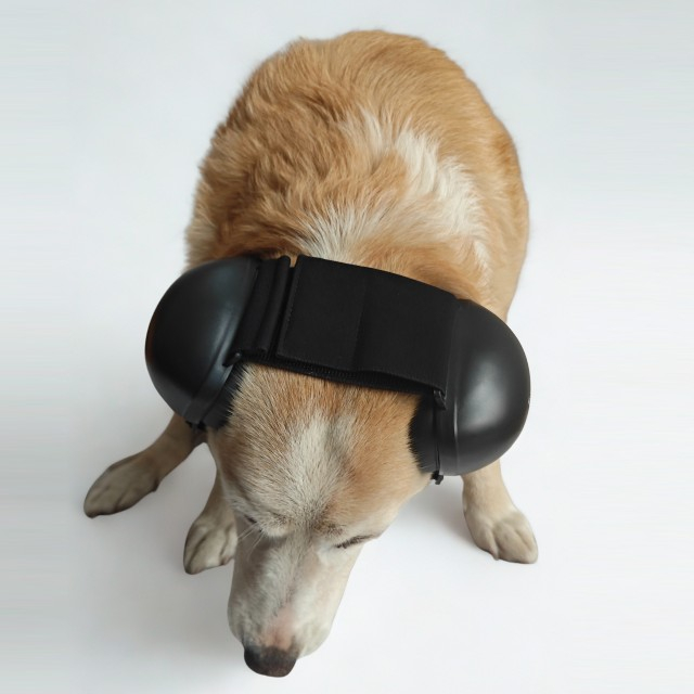 Antifoane protectie auz animale, dimensiune M, Negru [4]