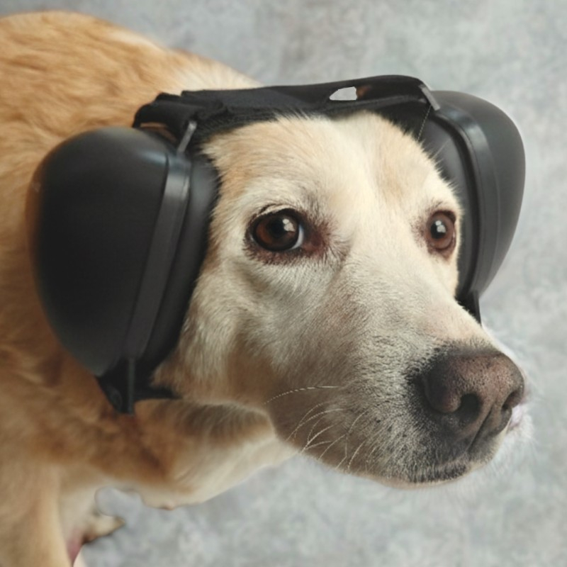 Antifoane protectie auz animale, dimensiune M, Negru [6]