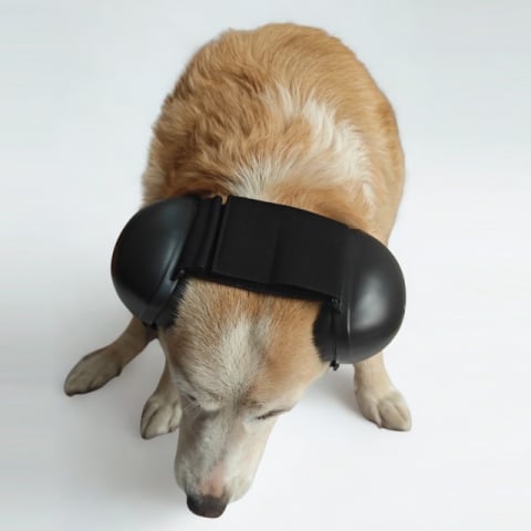 Antifoane protectie auz animale, dimensiune M, Negru [3]