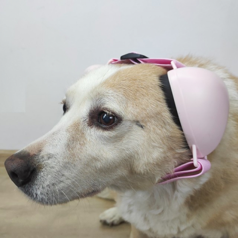 Casti antifonice pentru catei, protectie auz animale, dimensiune L, Roz [9]