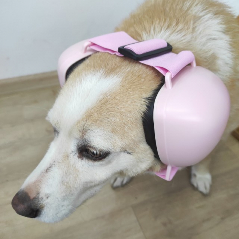 Casti antifonice pentru catei, protectie auz animale, dimensiune L, Roz [12]