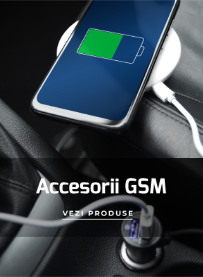 Accesorii GSM