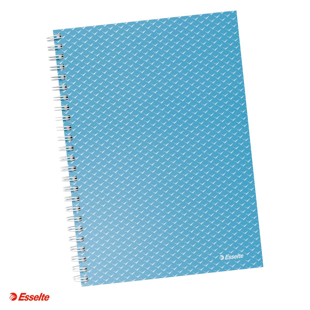 Caiete A5 - Caiet de birou Esselte Colour'Breeze, carton, A5, 80 coli, cu spira, matematica, pentru documente perforate, albastru