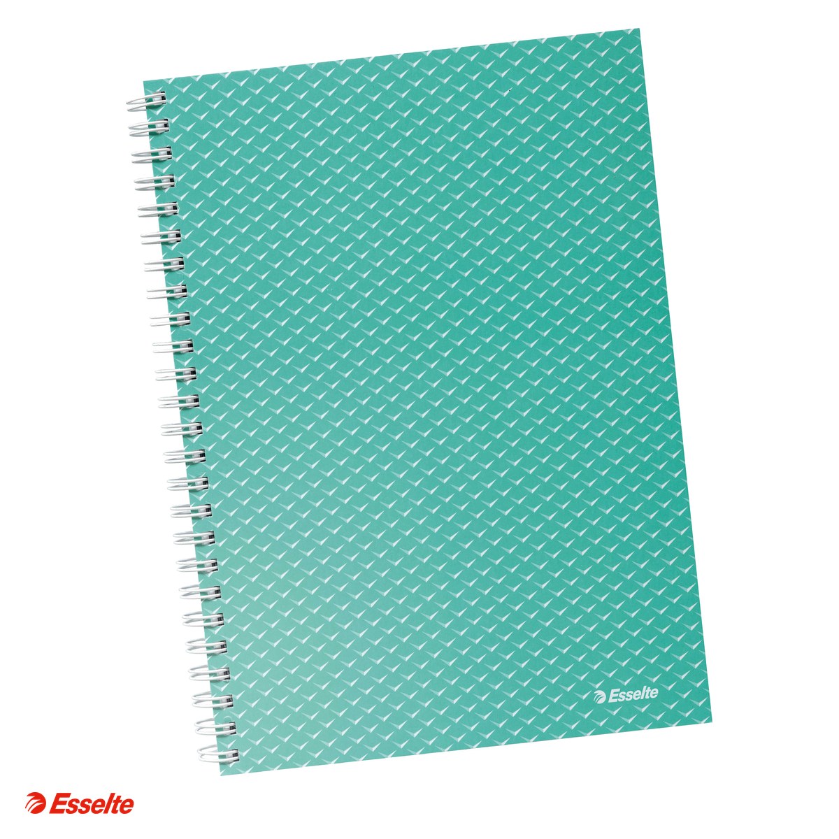 Caiete A5 - Caiet de birou Esselte Colour'Breeze, carton, A5, 80 coli, cu spira, matematica, pentru documente perforate, verde