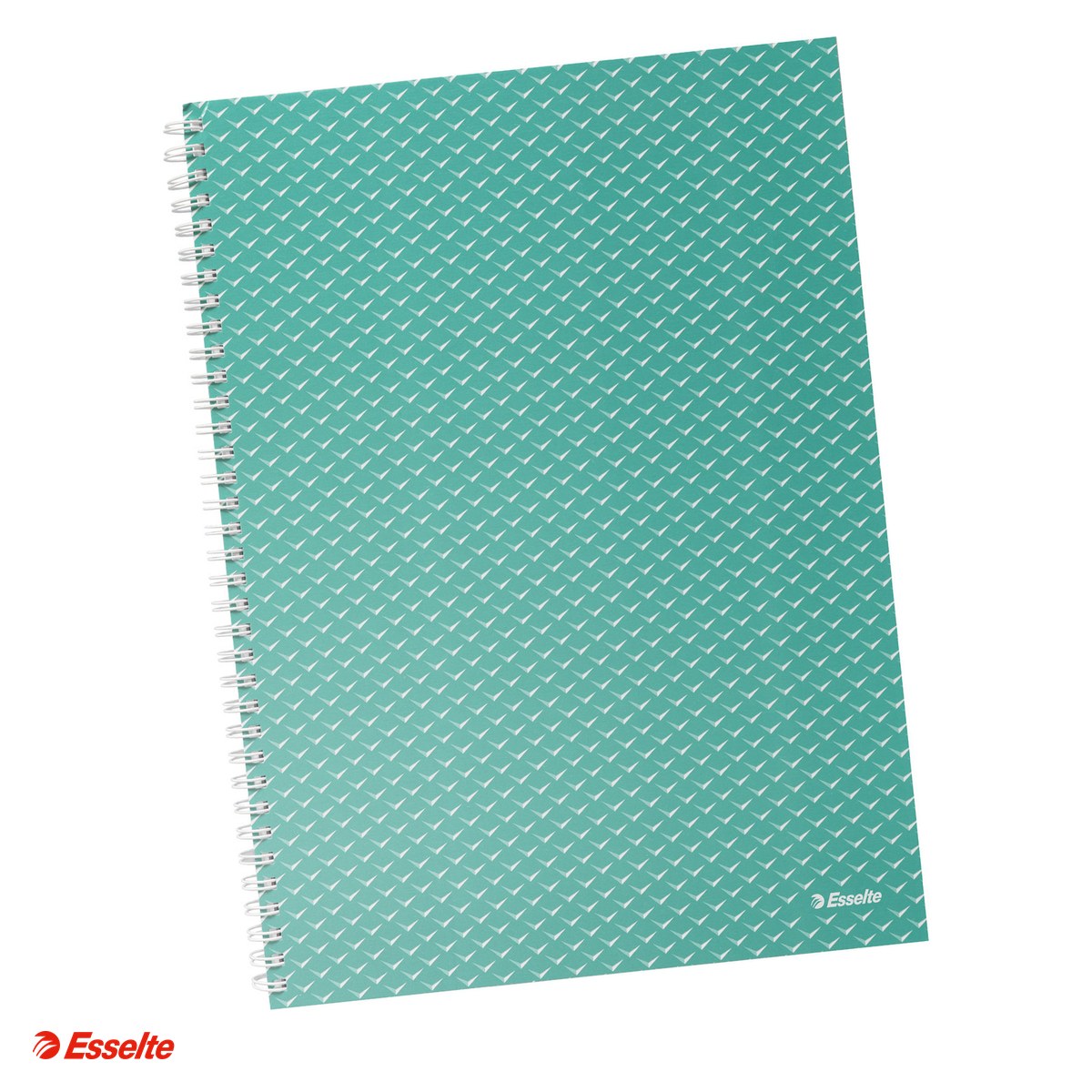 Liniatura Matematica (Patratele) A4 - Caiet de birou Esselte Colour'Breeze, carton, A4, 80 coli, cu spira, matematica, pentru documente perforate, hartie 80 g/mp, verde