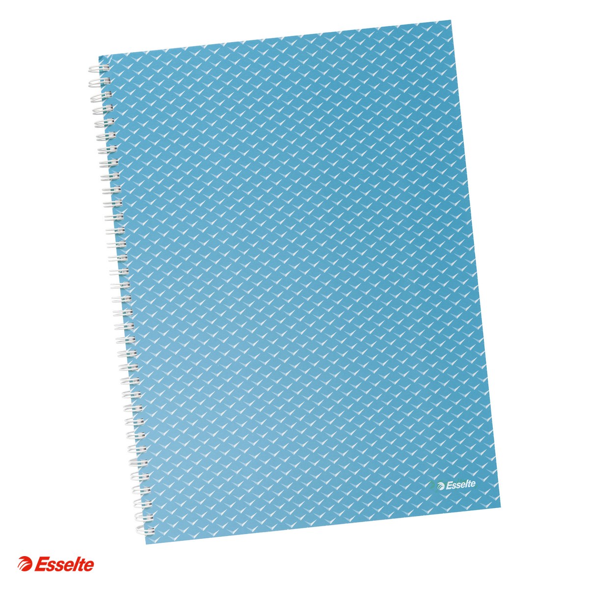 Liniatura Dictando (Linii) A4 - Caiet de birou Esselte Colour'Breeze, carton, A4, 80 coli, cu spira, dictando, pentru documente perforate, hartie 80 g/mp, albastru