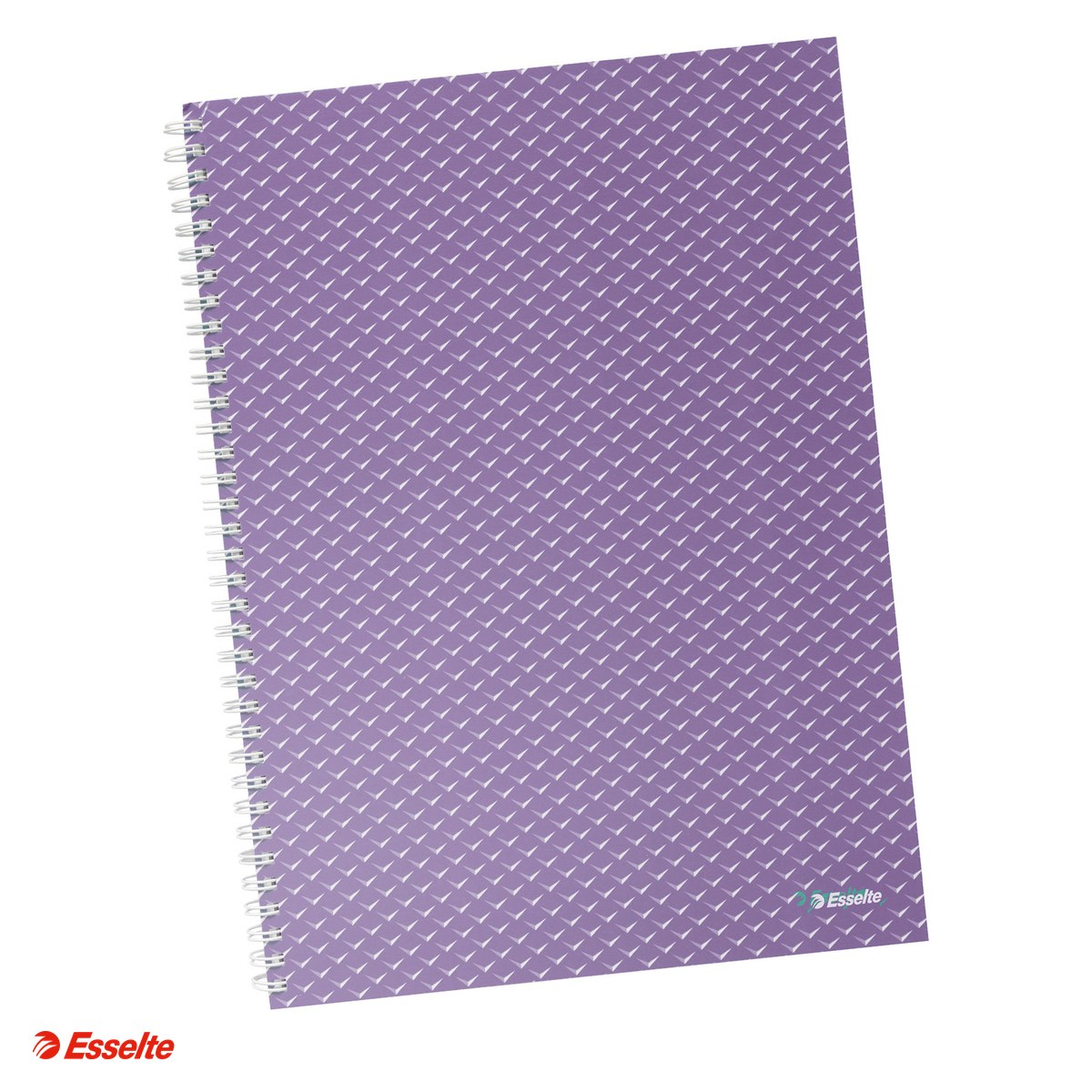 Liniatura Dictando (Linii) A4 - Caiet de birou Esselte Colour'Breeze, carton, A4, 80 coli, cu spira, dictando, pentru documente perforate, hartie 80 g/mp, lavanda