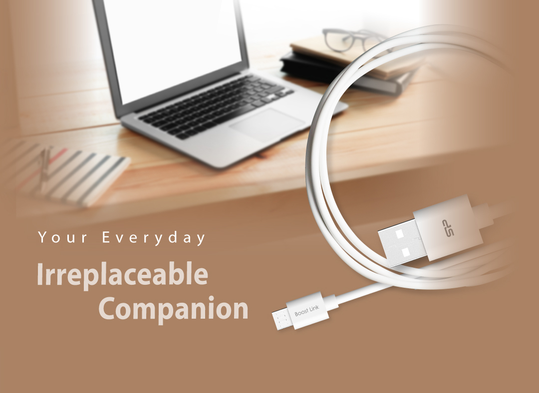 Cablu USB 2.0 tata la microUSB tata, Silicon Power Boost Link LK30, 1m, 2.4A, alb [3]