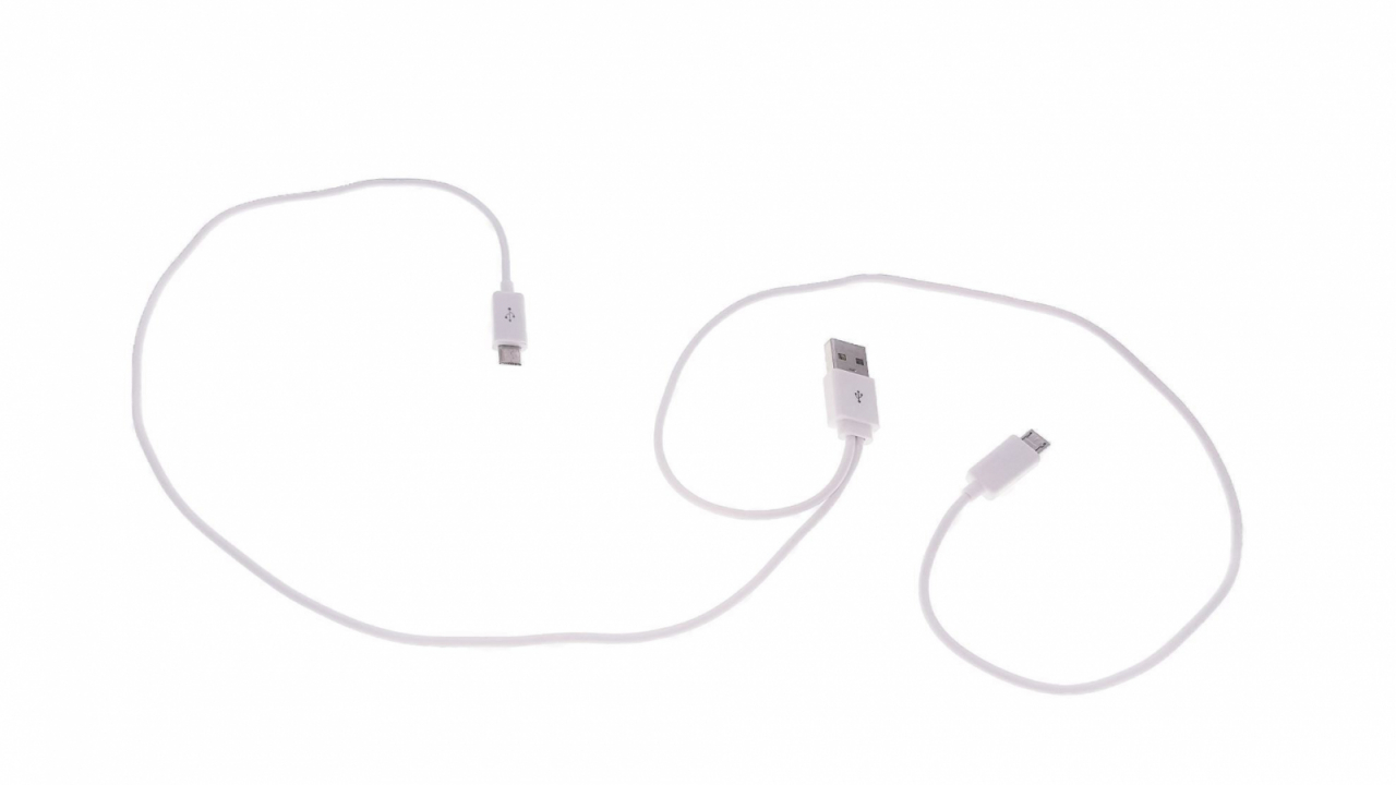 Cablu USB la 2 x microUSB, alb [10]
