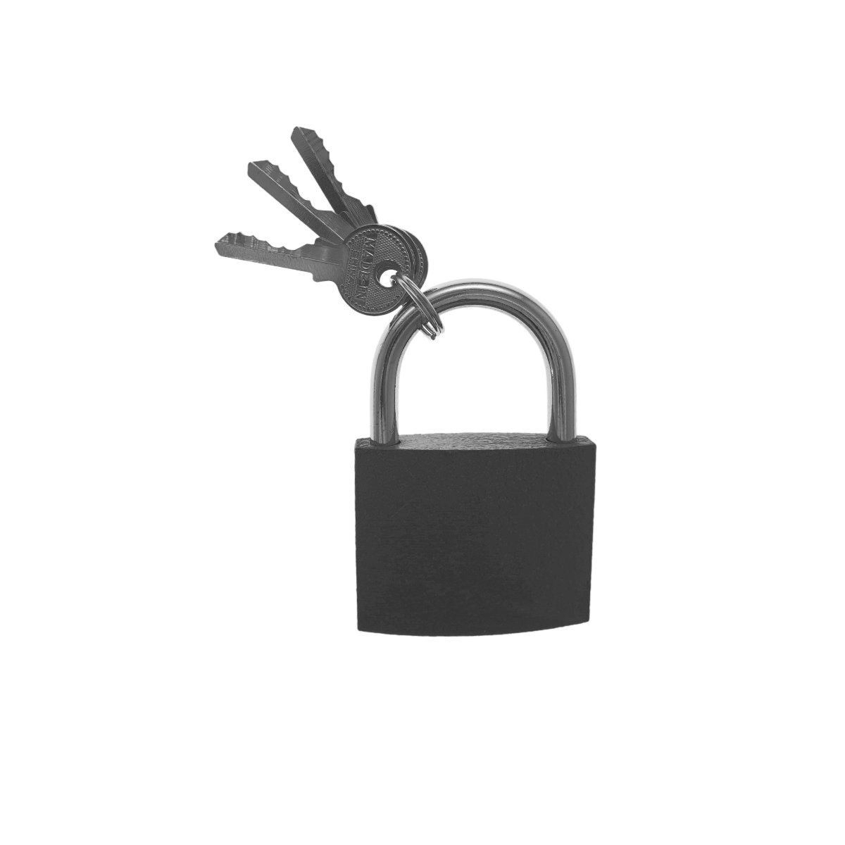 Lacat Trois Circle LC63,din otel,63mm,3 chei, gri [7]