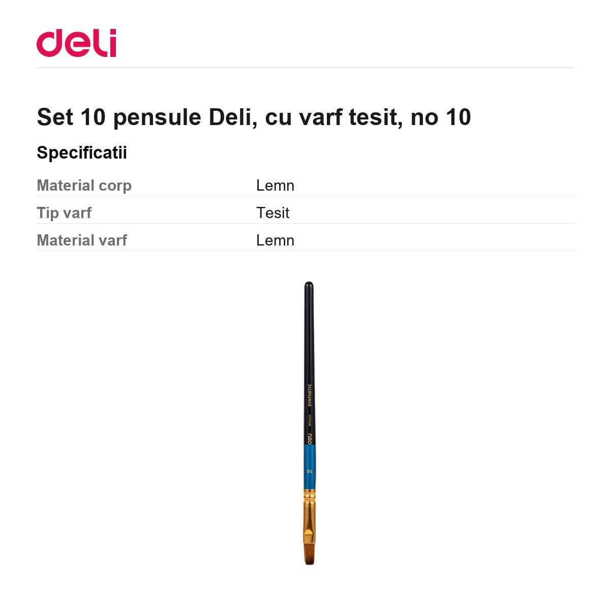 Set 10 pensule Deli, cu varf tesit, no 10 [3]