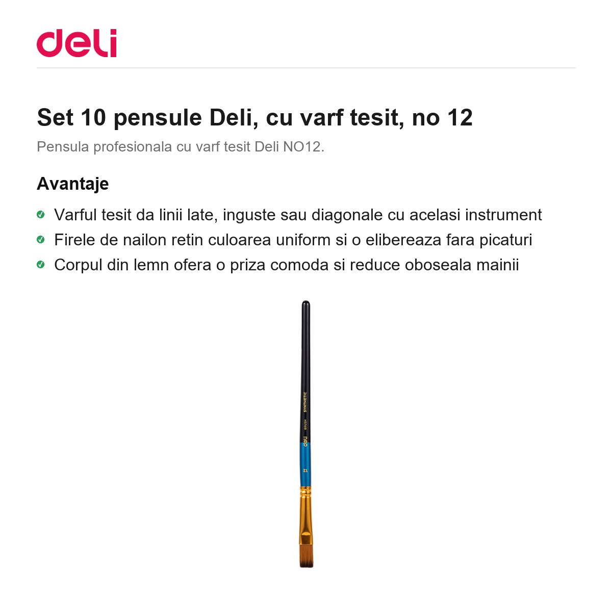 Set 10 pensule Deli, cu varf tesit, no 12 [2]