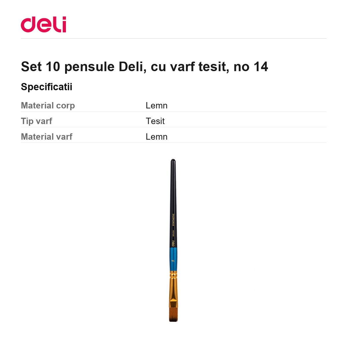 Set 10 pensule Deli, cu varf tesit, no 14 [3]