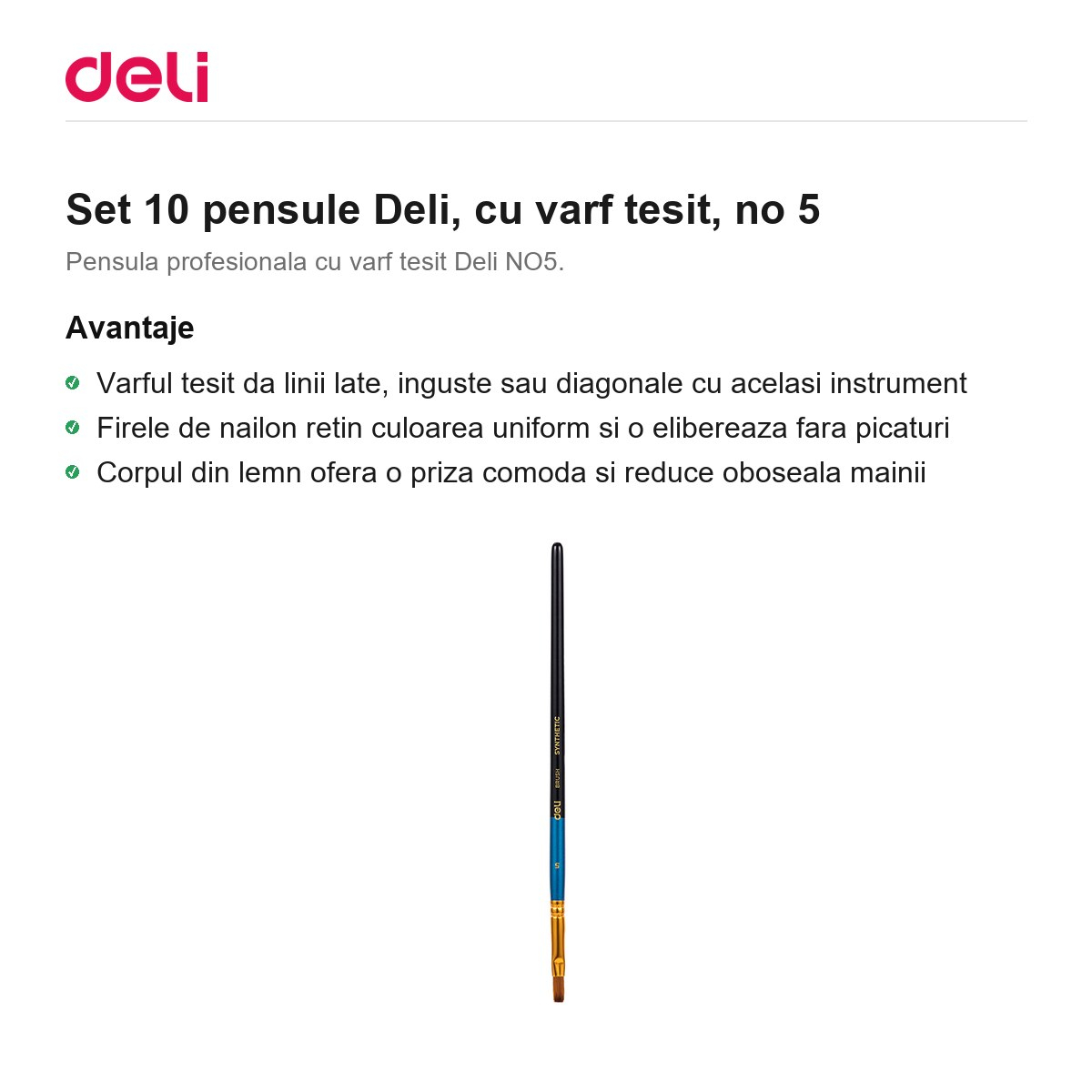 Set 10 pensule Deli, cu varf tesit, no 5 [2]