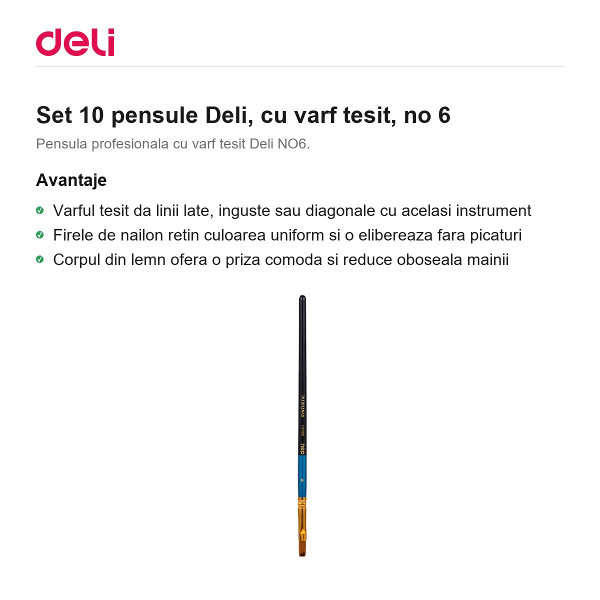 Set 10 pensule Deli, cu varf tesit, no 6 [2]