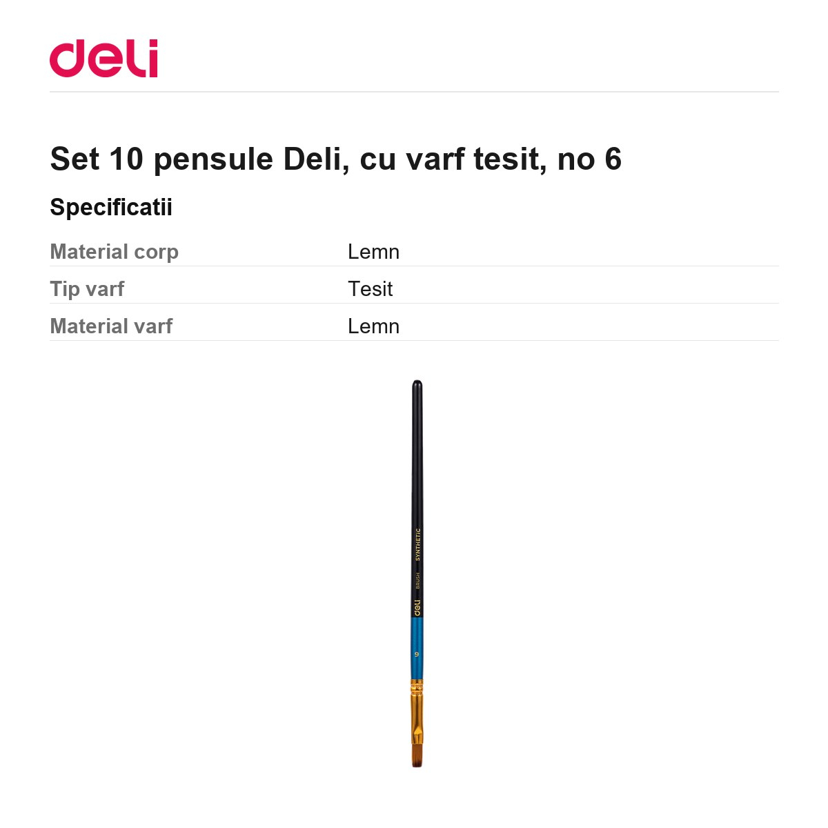 Set 10 pensule Deli, cu varf tesit, no 6 [3]