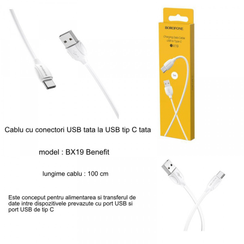 Cablu cu conectori USB tata la USB tip C tata, Borofone BX19 Benefit, lungime 1m, alb [11]
