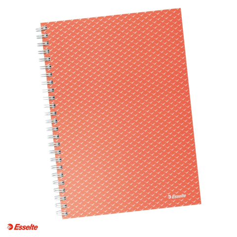 Liniatura Dictando (Linii) A5 - Caiet de birou Esselte Colour'Breeze, carton, A5, 80 coli, cu spira, dictando, pentru documente perforate, hartie 80 g/mp, corai