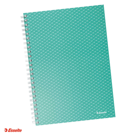 Liniatura Dictando (Linii) A5 - Caiet de birou Esselte Colour'Breeze, carton, A5, 80 coli, cu spira, dictando, pentru documente perforate, hartie 80 g/mp, verde