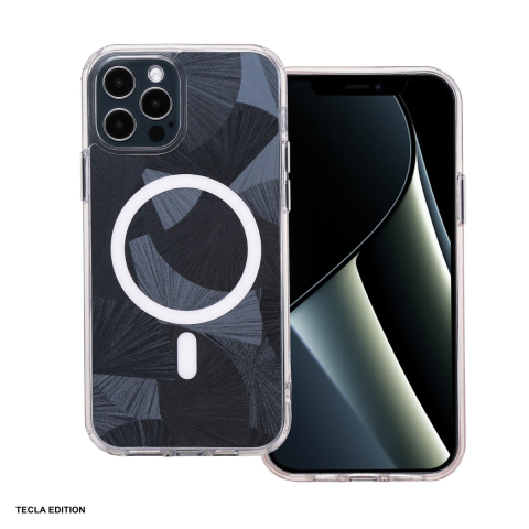 Huse si protectii pentru iPhone 12 Pro - Husa Flash Mag pentru Apple iPhone 12 Pro, iPhone 12, Carcasa magnetica, Negru