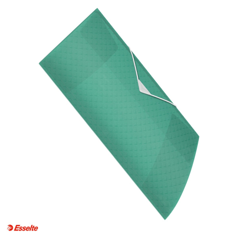 Mape si serviete - Mapa cu elastic Esselte Colour'Breeze, PP, A4, 150 de coli, pentru transport, verde