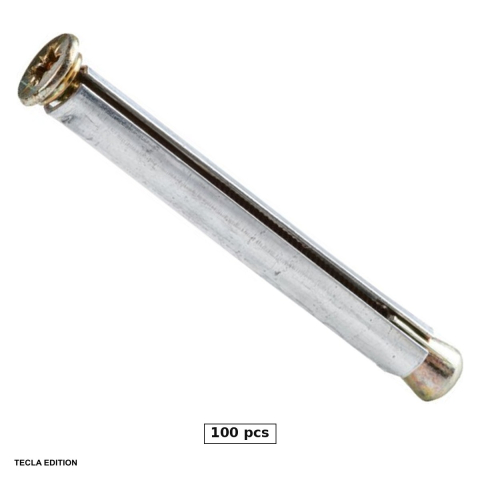 Ancore - Set 100 ancore pentru montajul usilor si ferestrelor, 10x152 mm, amprenta PZ3, zincate alb, tin usa sau fereastra montata pe beton