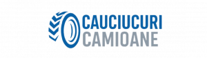 www.cauciucuricamioane.ro