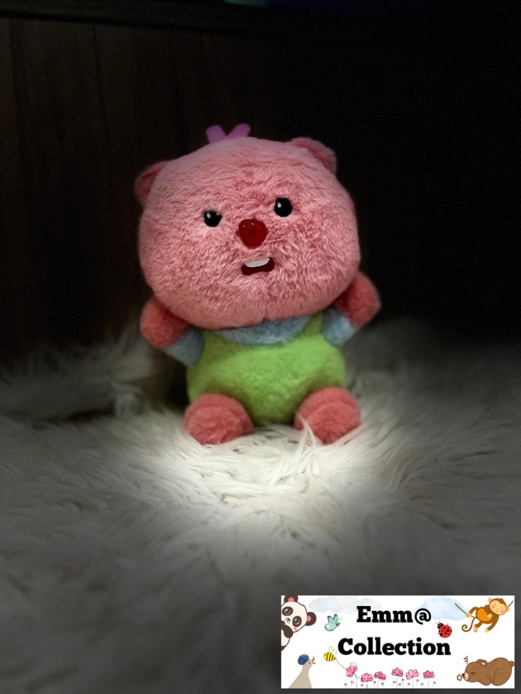 Castorul CiuPi [1]