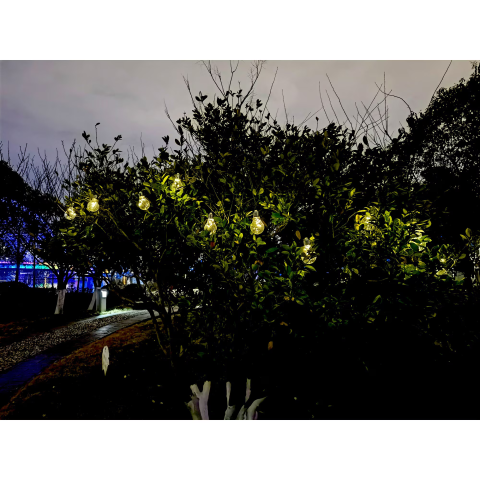 Instalatie 10 becuri LED solare de exterior pentru gradina Star-Light, 800 mAh, silver light, IP44, 570 cm [3]
