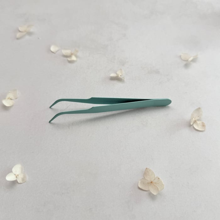 Penseta albastra pentru sigilii [2]