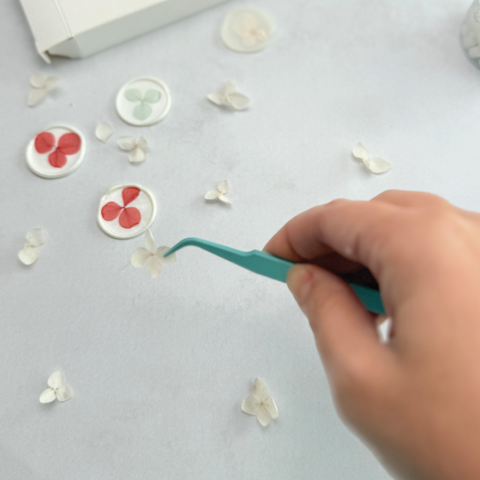 Penseta albastra pentru sigilii [3]