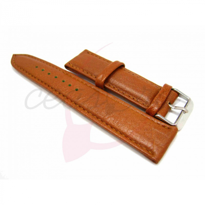 Curea Ceas Piele Naturala 24 mm [3]