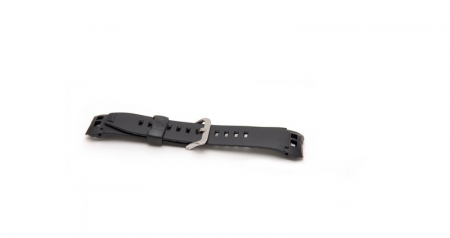 Curele Casio - Curea Ceas Casio 10109612