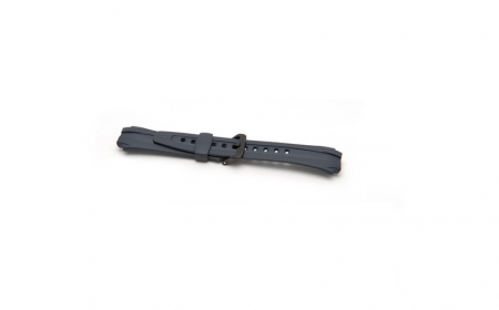 Curele Ceasuri - Curea Ceas Casio 10137506