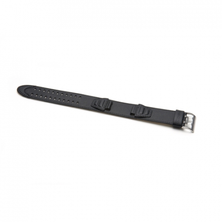 Curele Casio - Curea Ceas Casio 10303924