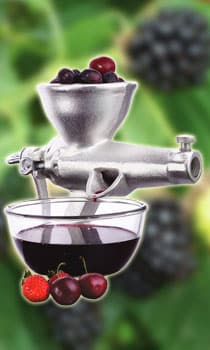 Home & Deco - Presa din fonta pentru fructe
